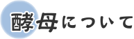 酵母について