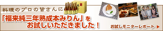 2010お試しモニターレポート更新中